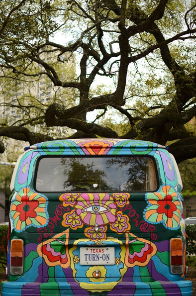 Museum of Fine Arts Houston